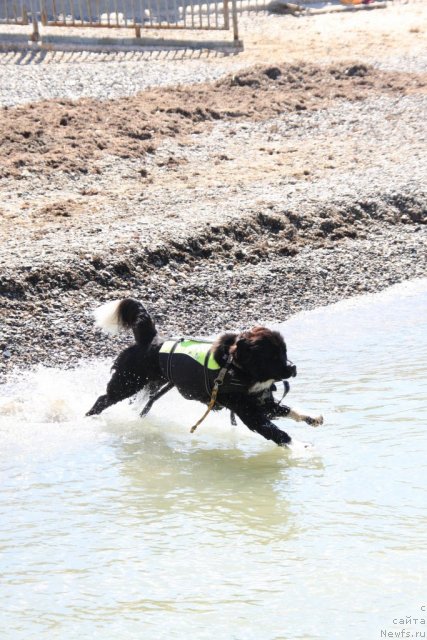 Фотография № 50266