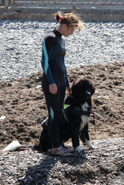 Фотография № 50267