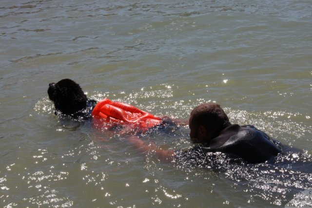 Фотография № 50272