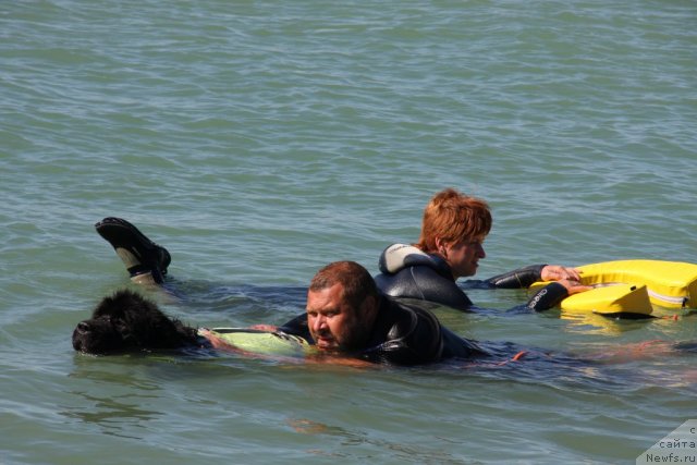 Фотография № 50283