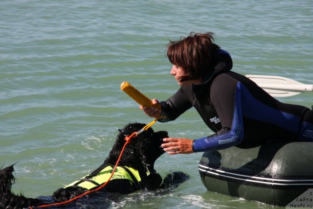 Фотография № 50287