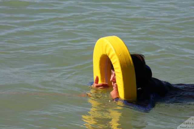 Фотография № 50288