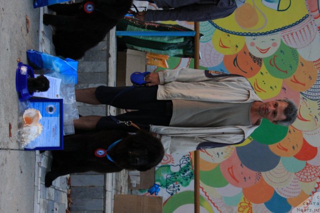 Фотография № 50298