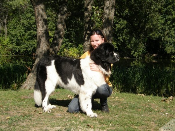 Фотография № 50351