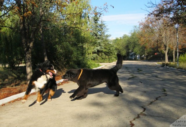 Фотография № 50360