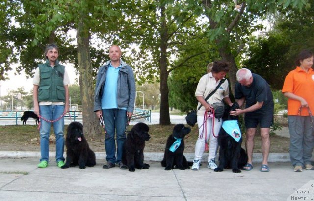 Фотография № 50386