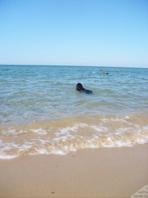 Фотография № 50389