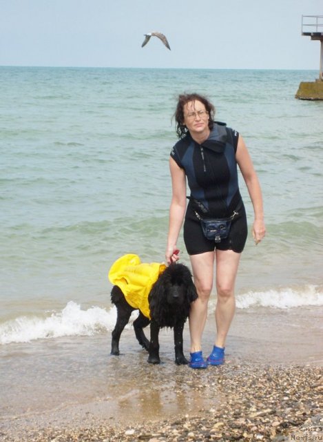 Фотография № 50391