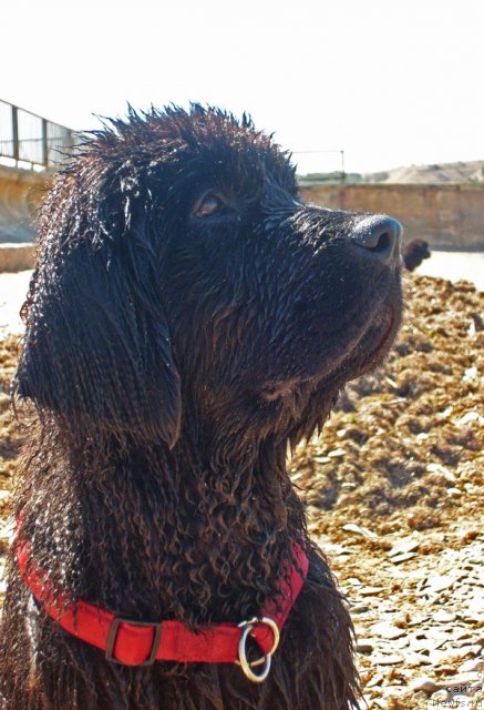 Фотография № 50392