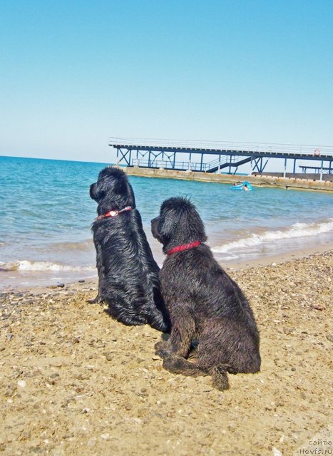 Фотография № 50394