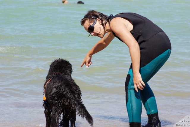 Фотография № 50397