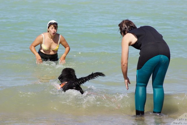 Фотография № 50398