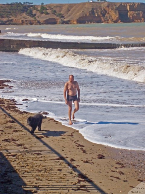 Фотография № 50405