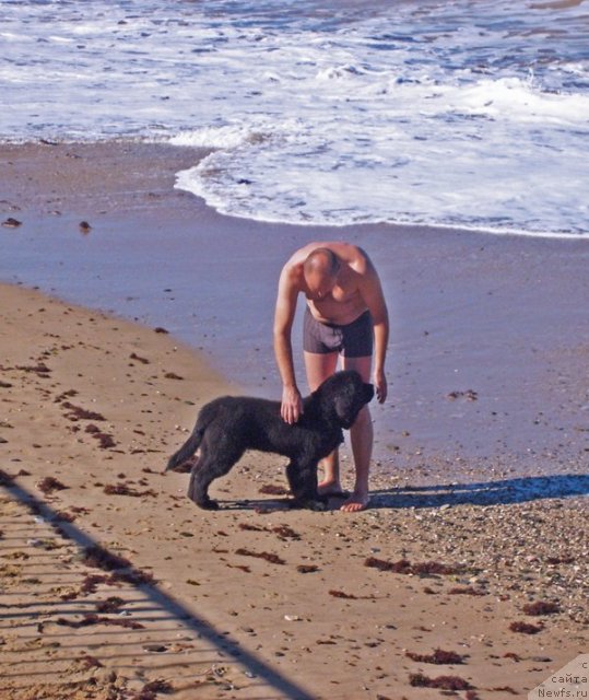 Фотография № 50406