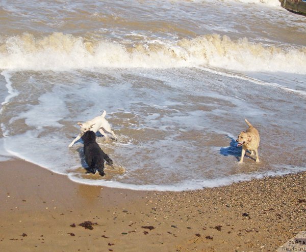 Фотография № 50407