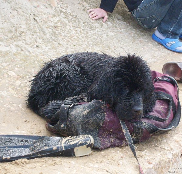 Фотография № 50408