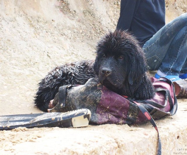 Фотография № 50409