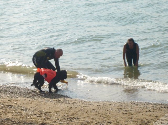 Фотография № 50410