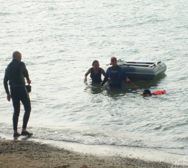 Фотография № 50412