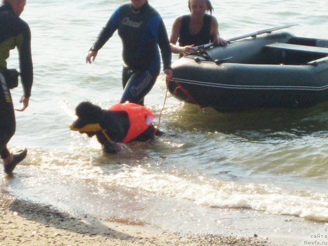 Фотография № 50414