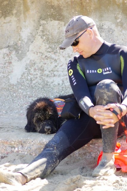 Фотография № 50417