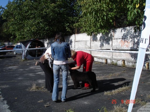 Фотография № 50438