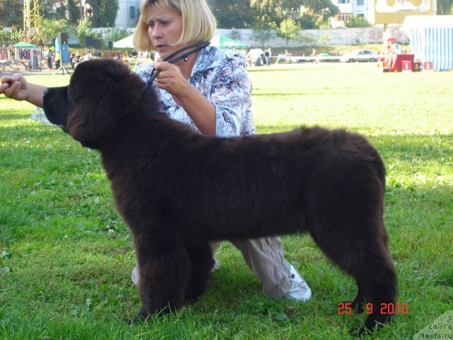 Фотография № 50442