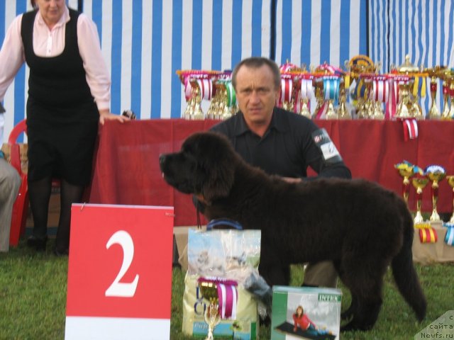 Фотография № 50447