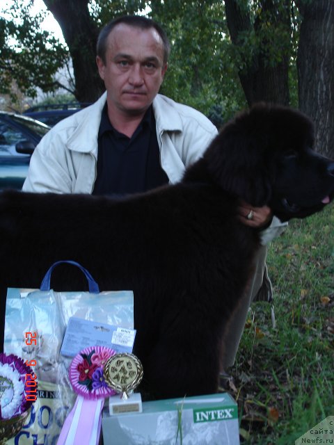 Фотография № 50453