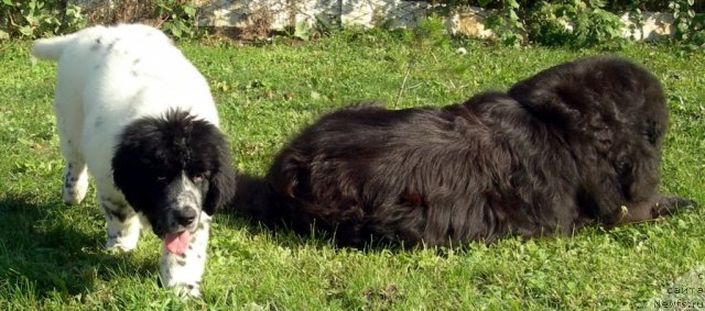 Фотография № 50458