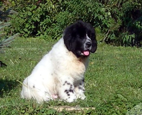 Фотография № 50461