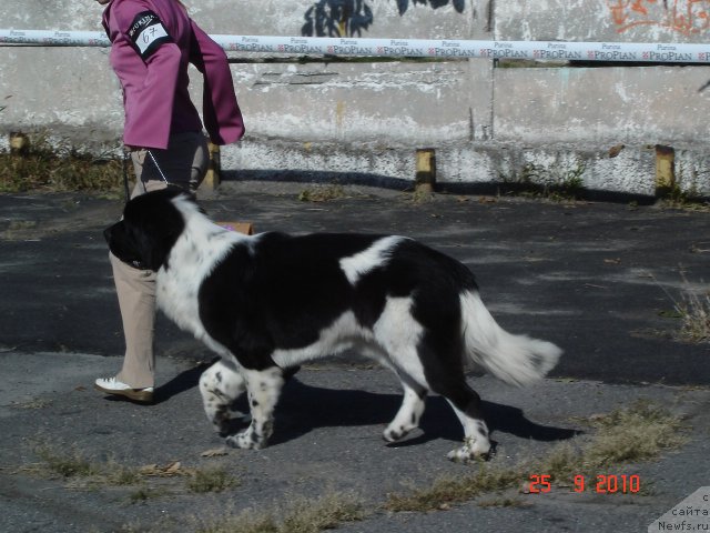 Фотография № 50464