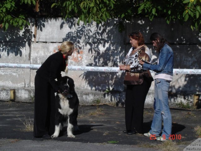 Фотография № 50467