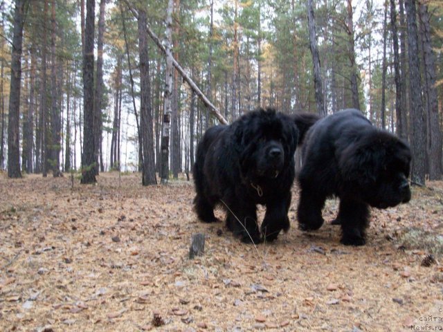 Фотография № 50475