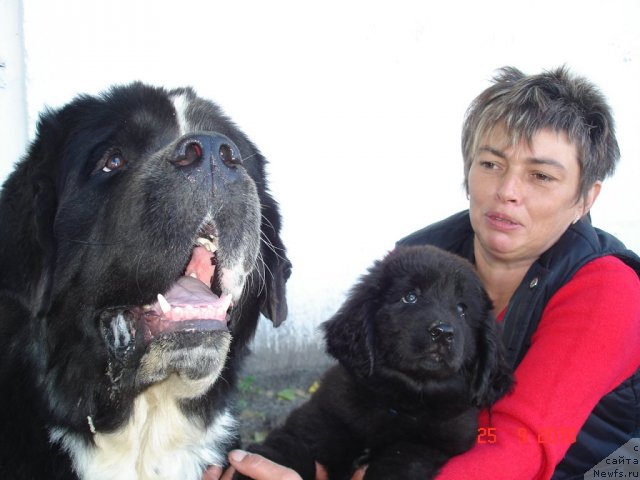 Фотография № 50480