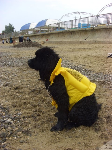 Фотография № 50484