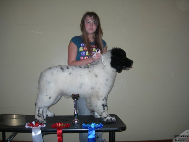 Фотография № 50491