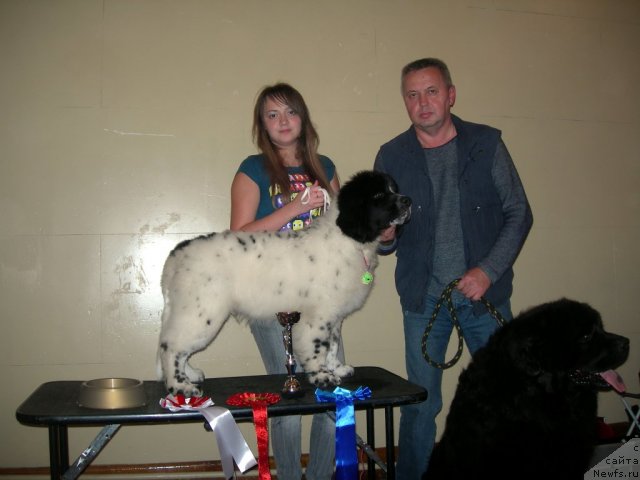 Фотография № 50492