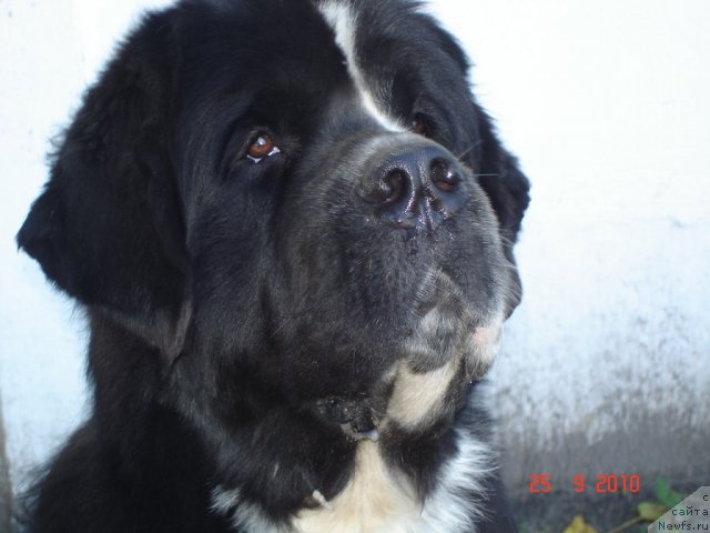 Фотография № 50497