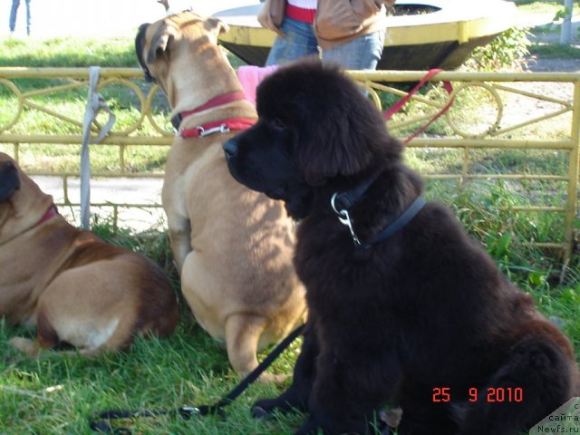 Фотография № 50500