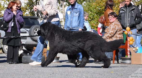 Фотография № 50501