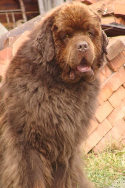 Фотография № 50533