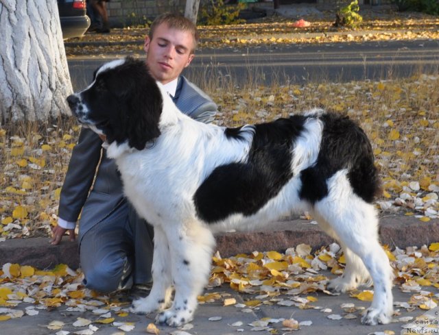 Фотография № 50552