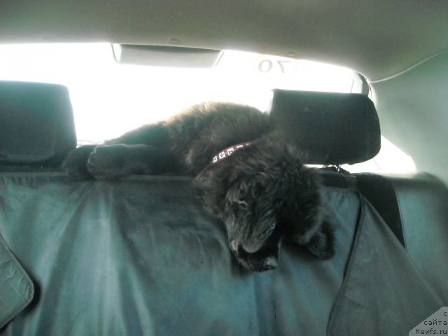 Фотография № 50554