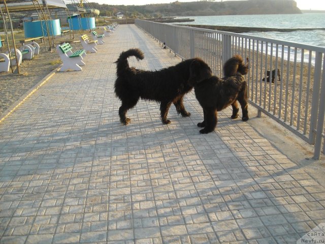 Фотография № 50556