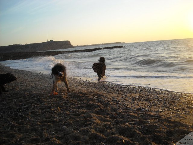 Фотография № 50557