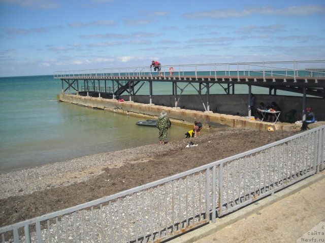 Фотография № 50559