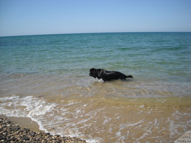 Фотография № 50565