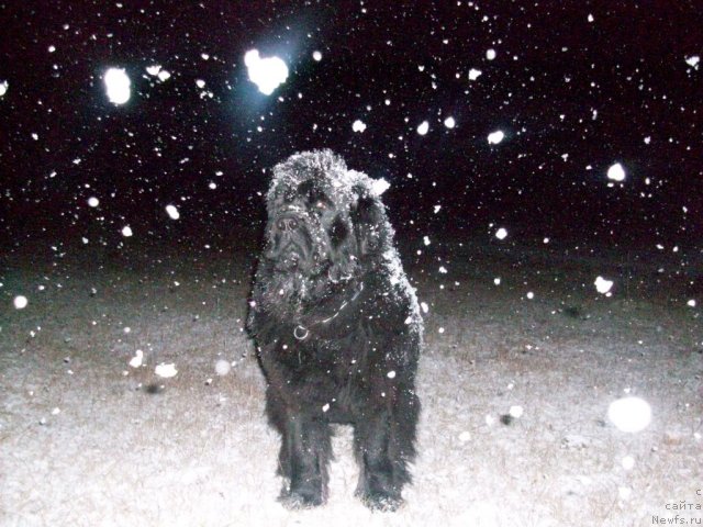 Фотография № 50609