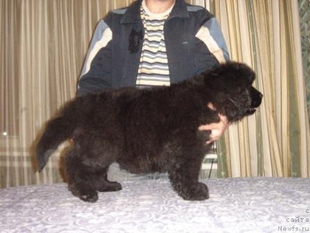 Фотография № 50618